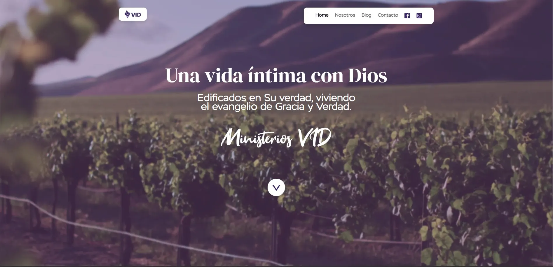 Ministerios VID