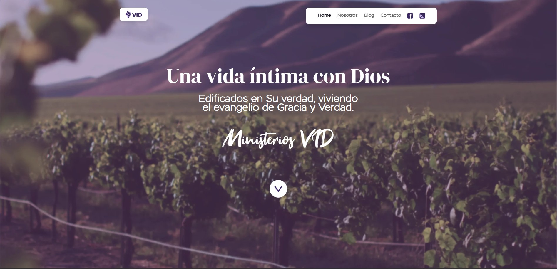 Ministerios VID